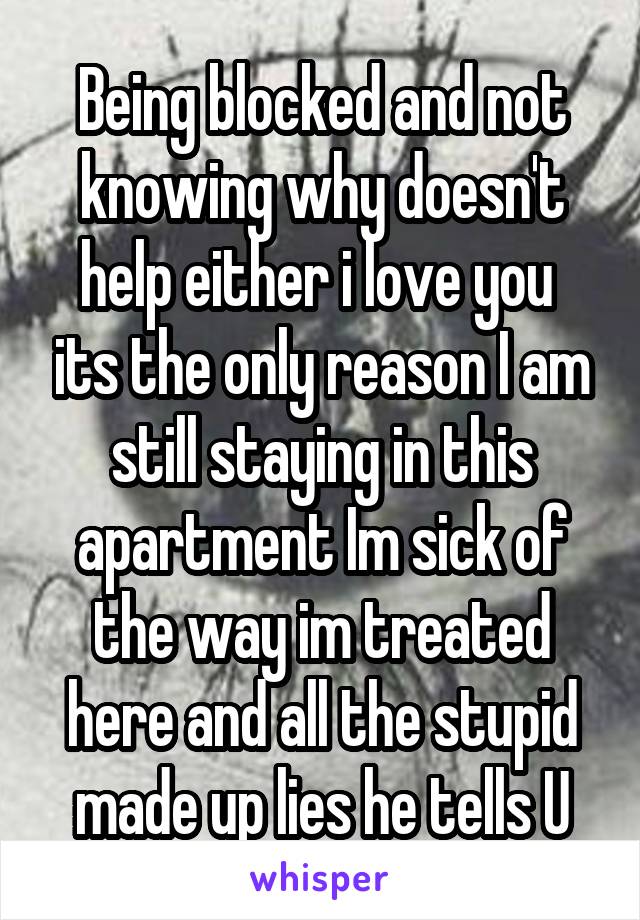 Being blocked and not knowing why doesn't help either i love you  its the only reason I am still staying in this apartment Im sick of the way im treated here and all the stupid made up lies he tells U