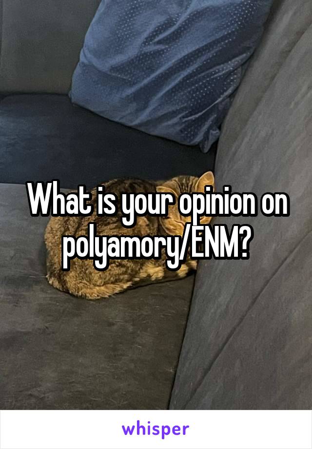 What is your opinion on polyamory/ENM?