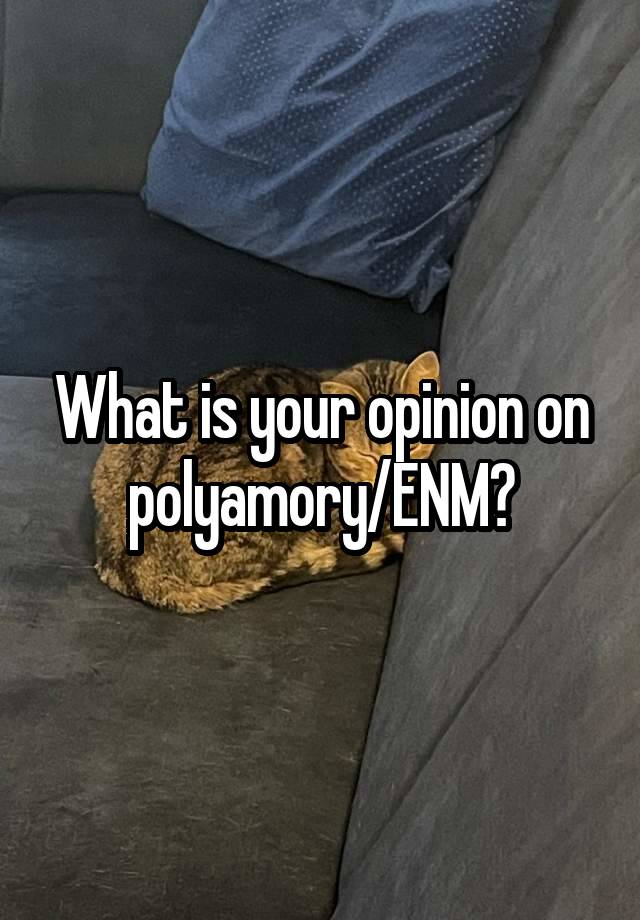 What is your opinion on polyamory/ENM?