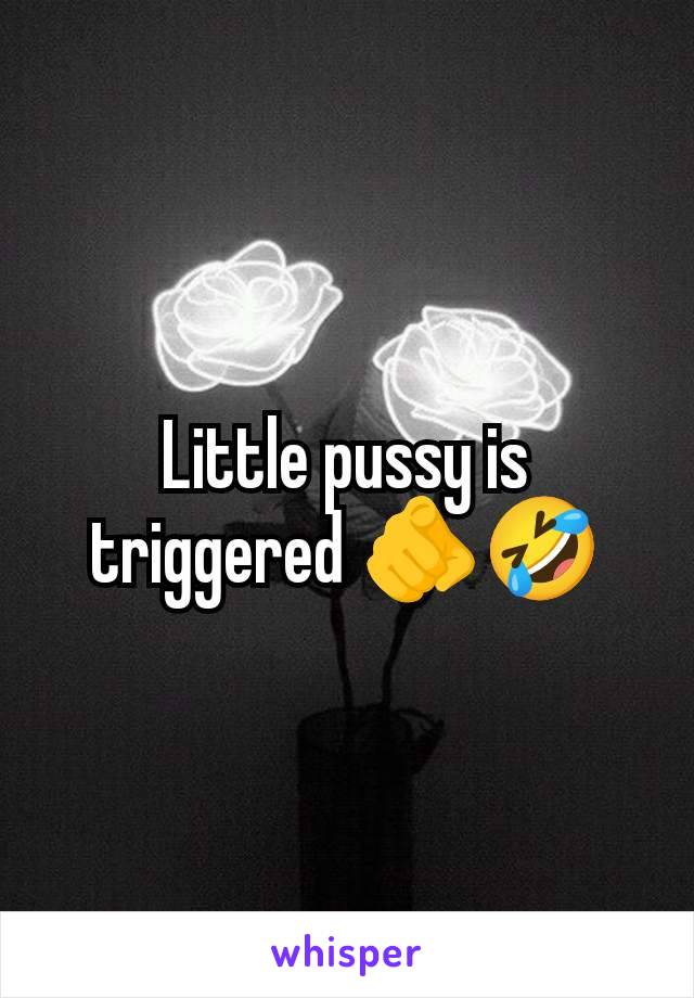 Little pussy is triggered 🫵🤣