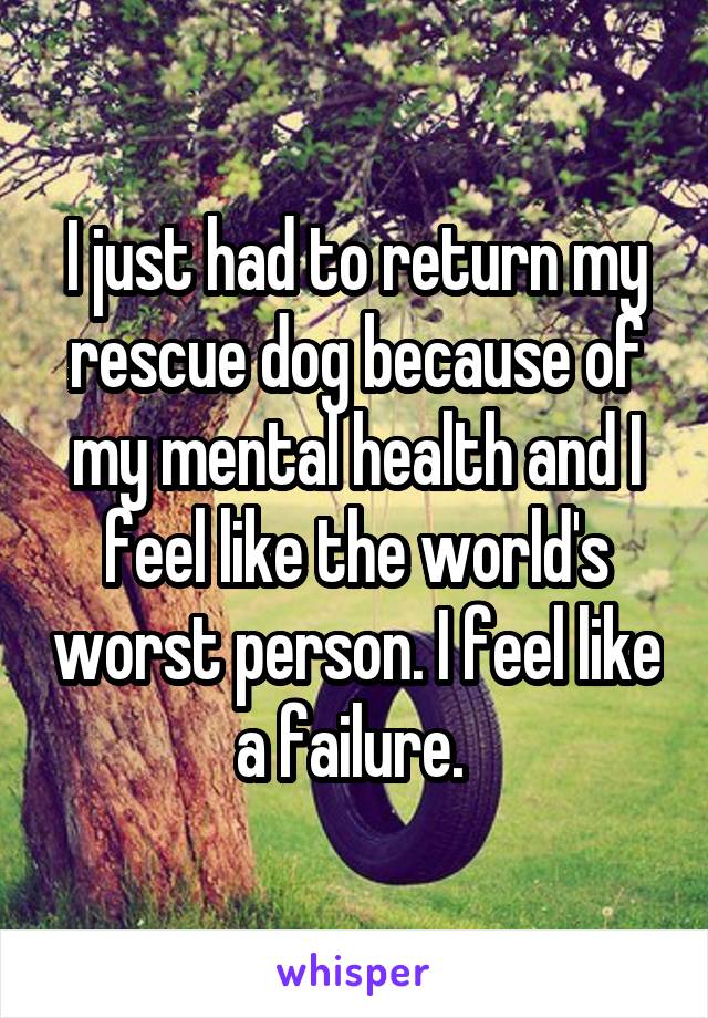 I just had to return my rescue dog because of my mental health and I feel like the world's worst person. I feel like a failure. 