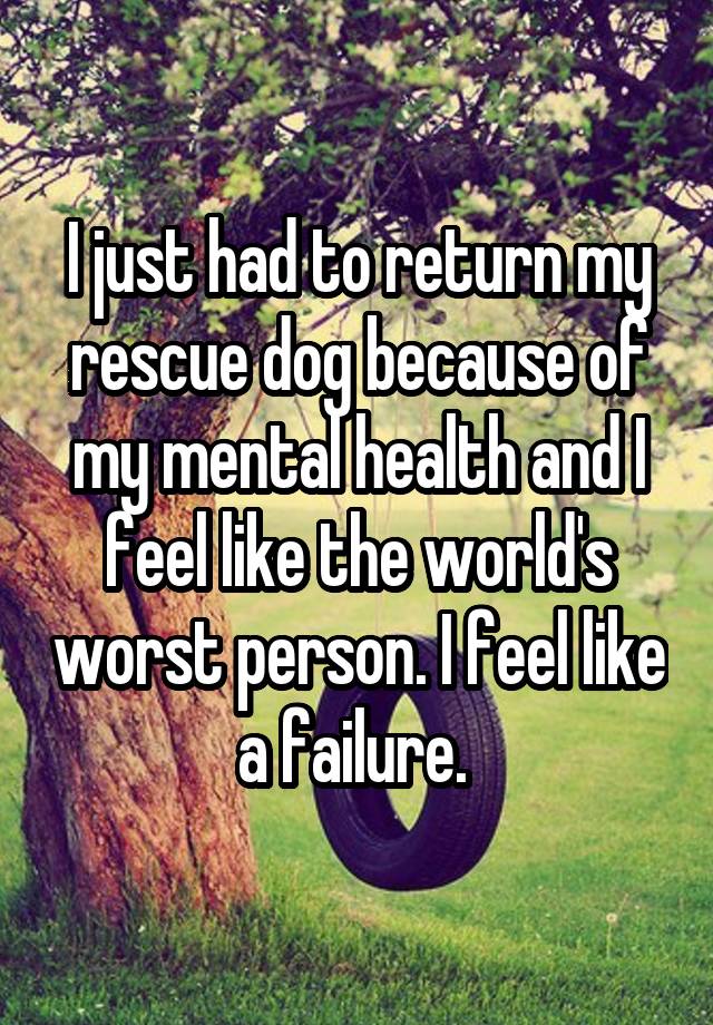 I just had to return my rescue dog because of my mental health and I feel like the world's worst person. I feel like a failure. 