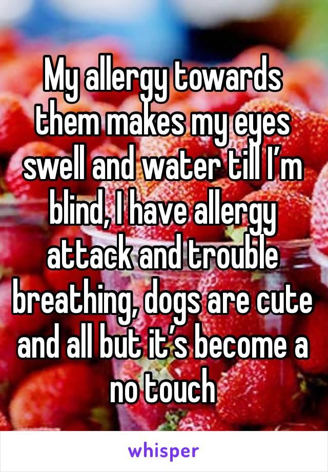 My allergy towards them makes my eyes swell and water till I’m blind, I have allergy attack and trouble breathing, dogs are cute and all but it’s become a no touch 