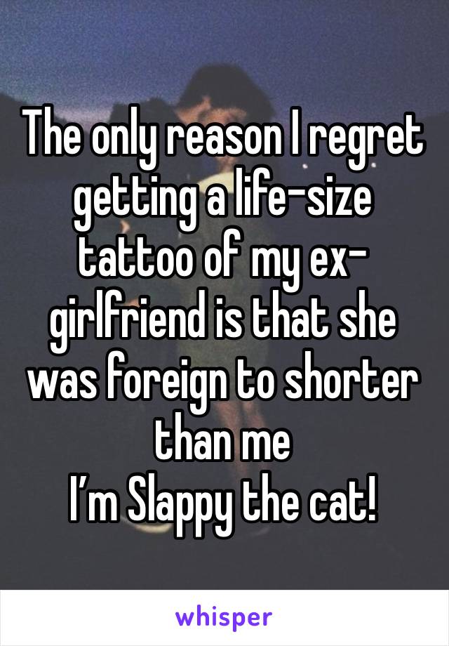 The only reason I regret getting a life-size tattoo of my ex-girlfriend is that she was foreign to shorter than me
I’m Slappy the cat!