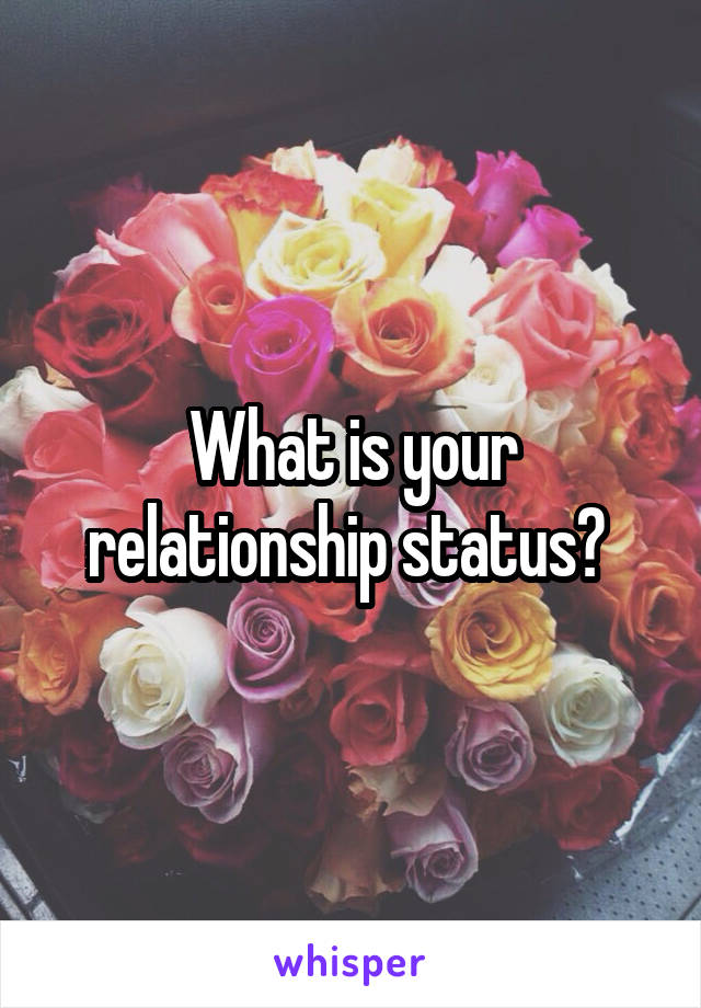 What is your relationship status? 