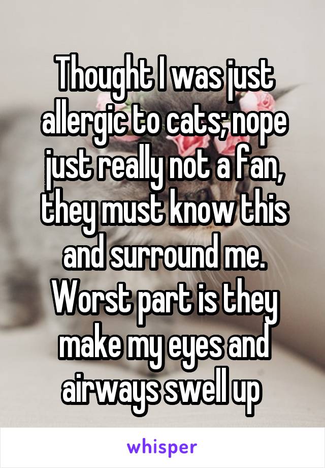 Thought I was just allergic to cats; nope just really not a fan, they must know this and surround me. Worst part is they make my eyes and airways swell up 