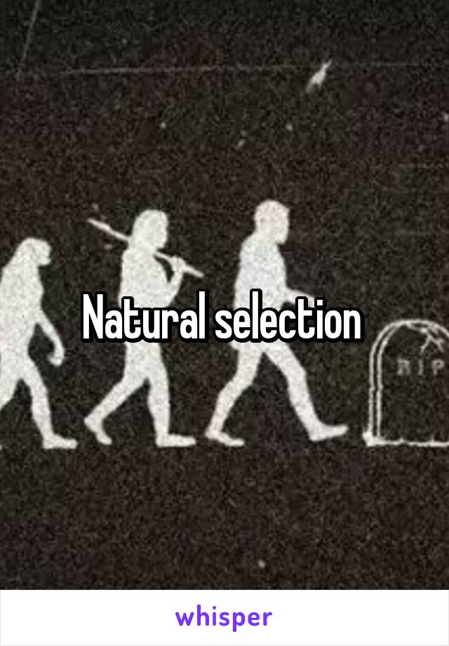 Natural selection 