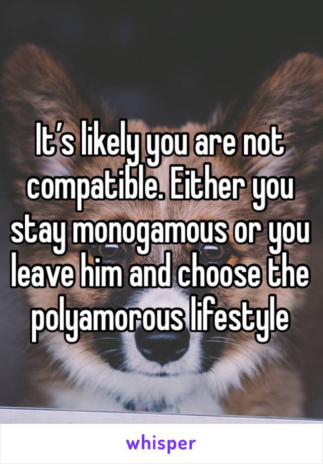 It’s likely you are not compatible. Either you stay monogamous or you leave him and choose the polyamorous lifestyle 