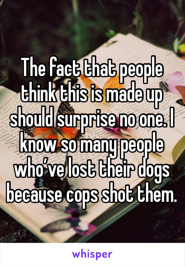 The fact that people think this is made up should surprise no one. I know so many people who’ve lost their dogs because cops shot them. 