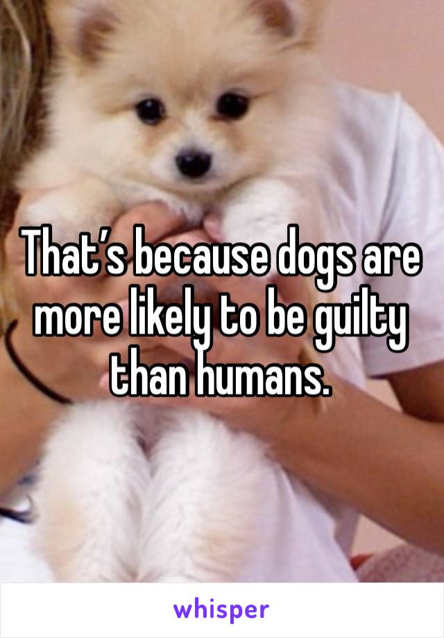 That’s because dogs are more likely to be guilty than humans. 