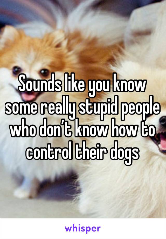 Sounds like you know some really stupid people who don’t know how to control their dogs