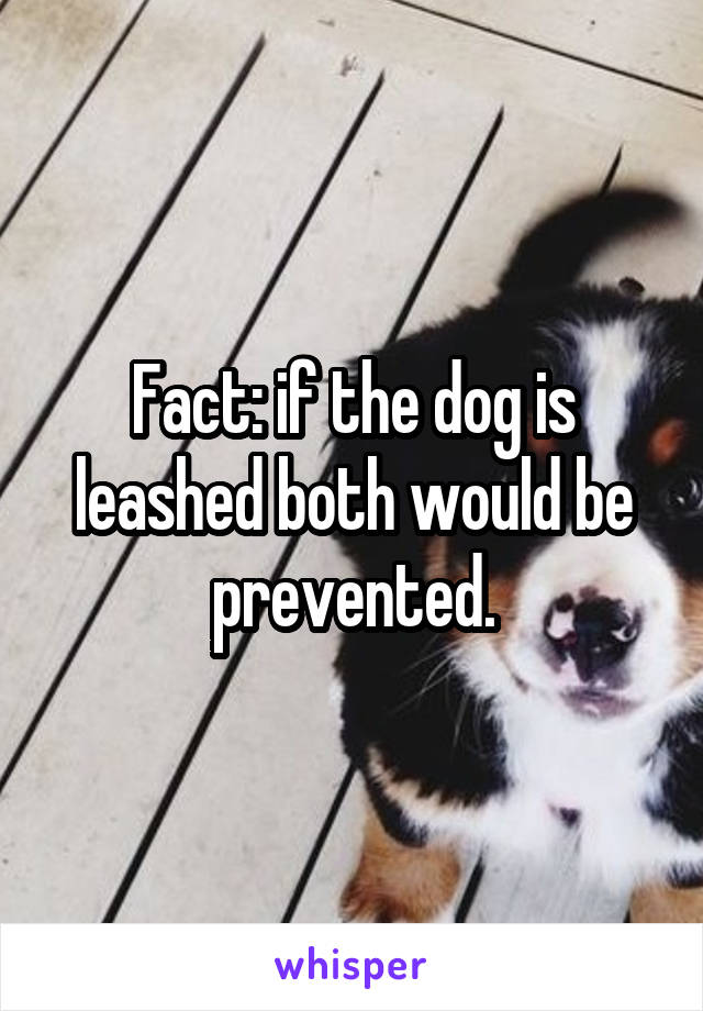 Fact: if the dog is leashed both would be prevented.