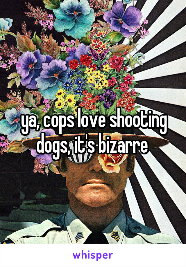 ya, cops love shooting dogs, it's bizarre 