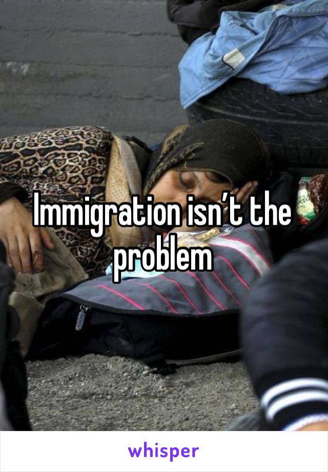 Immigration isn’t the problem 