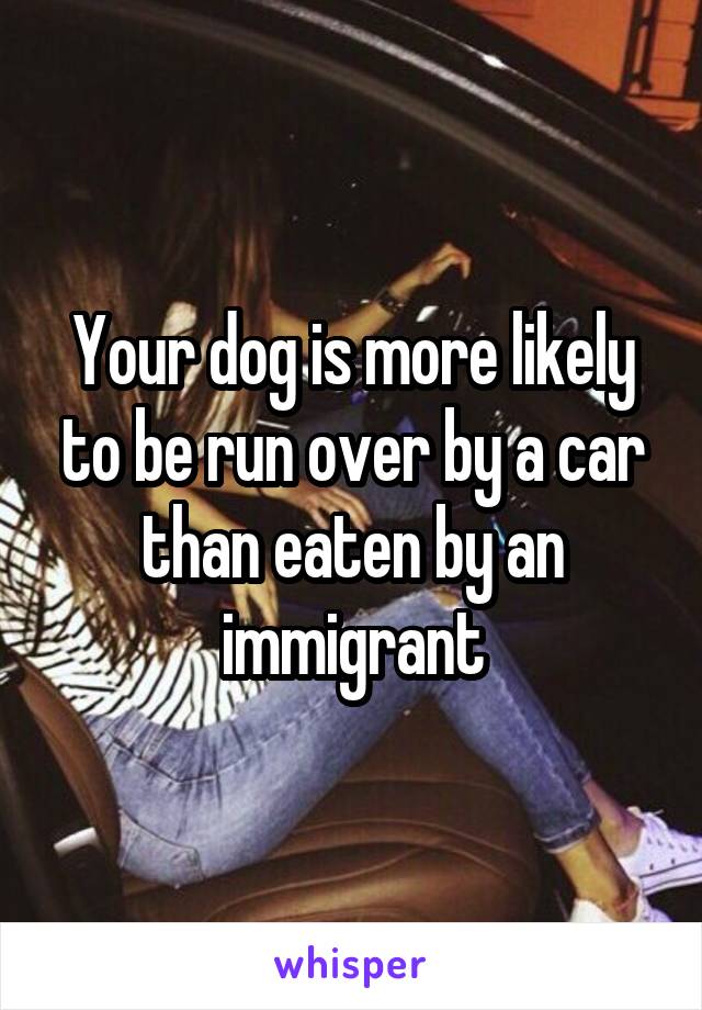 Your dog is more likely to be run over by a car than eaten by an immigrant