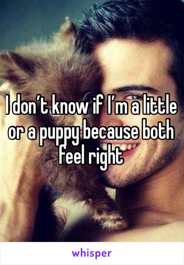 I don’t know if I’m a little or a puppy because both feel right 