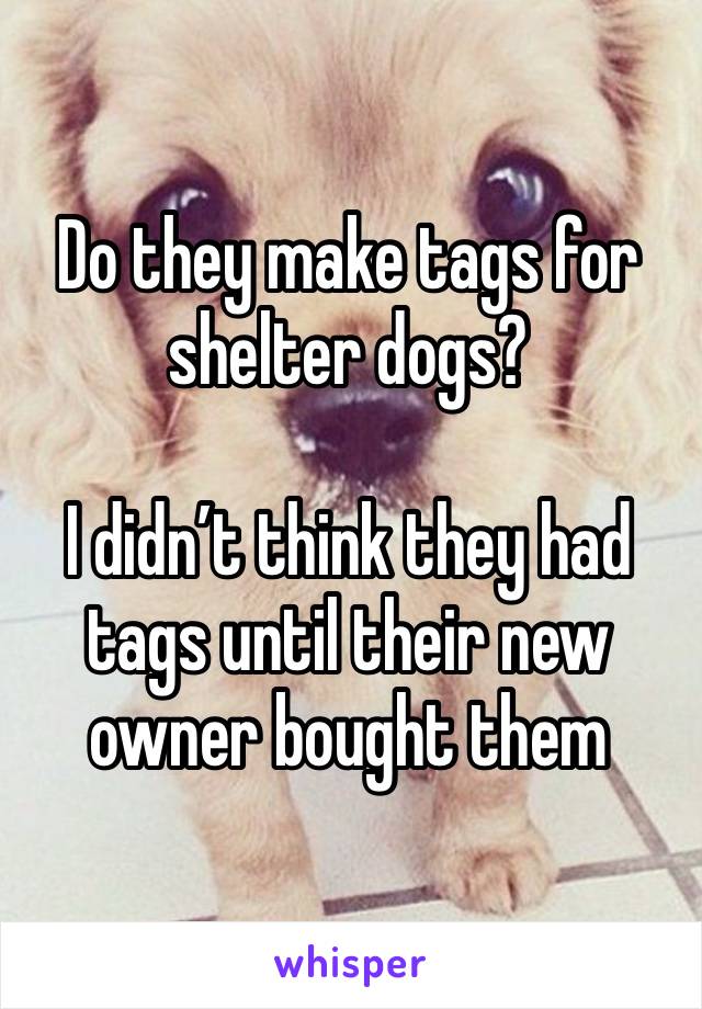 Do they make tags for shelter dogs? 

I didn’t think they had tags until their new owner bought them