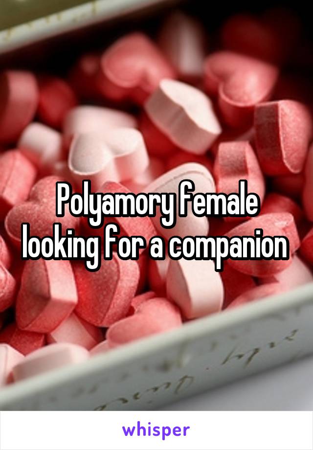 Polyamory female looking for a companion 