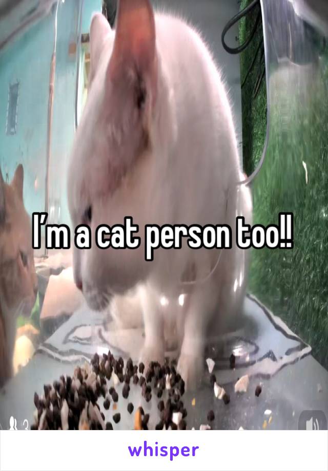 I’m a cat person too!! 