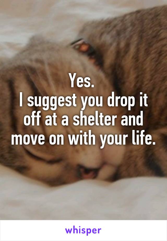 Yes. 
I suggest you drop it
off at a shelter and move on with your life. 