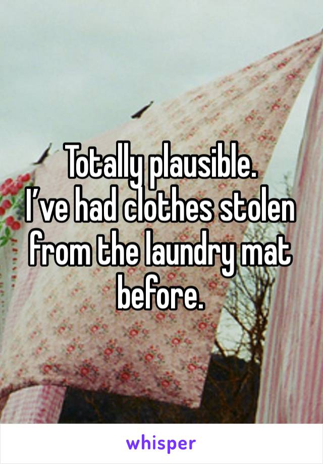 Totally plausible. 
I’ve had clothes stolen from the laundry mat before.