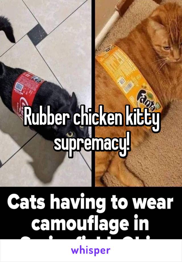 Rubber chicken kitty supremacy!