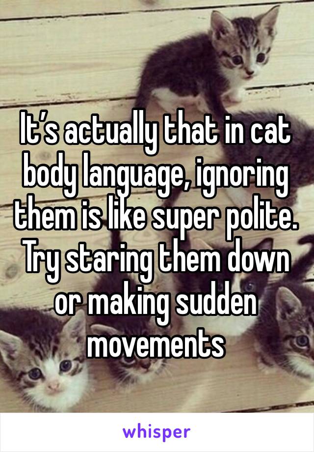 It’s actually that in cat body language, ignoring them is like super polite. Try staring them down or making sudden movements