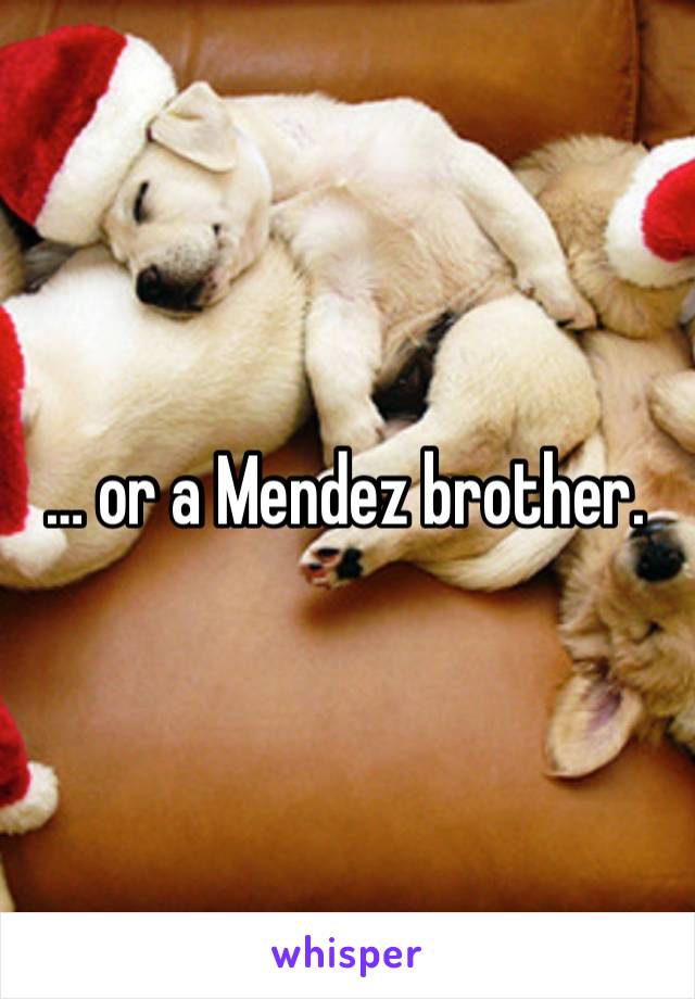 … or a Mendez brother. 