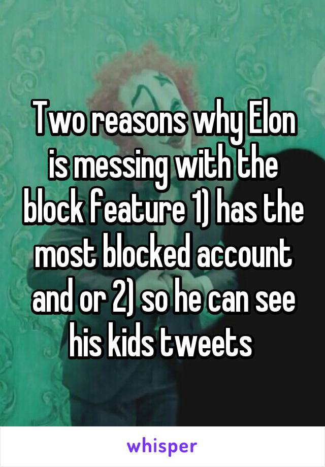 Two reasons why Elon is messing with the block feature 1) has the most blocked account and or 2) so he can see his kids tweets 