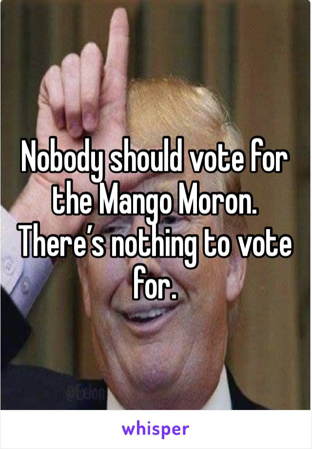 Nobody should vote for the Mango Moron. There’s nothing to vote for. 