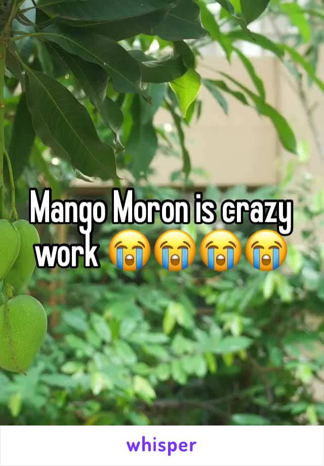 Mango Moron is crazy work 😭😭😭😭