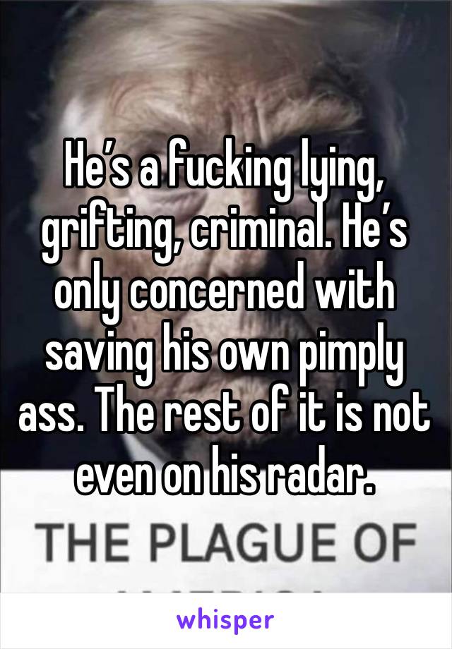 He’s a fucking lying, grifting, criminal. He’s only concerned with saving his own pimply ass. The rest of it is not even on his radar.