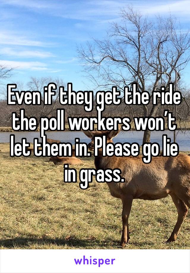 Even if they get the ride the poll workers won’t let them in. Please go lie in grass. 