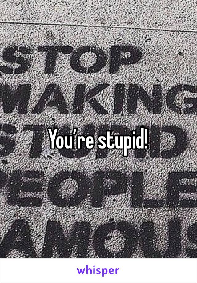 You’re stupid! 