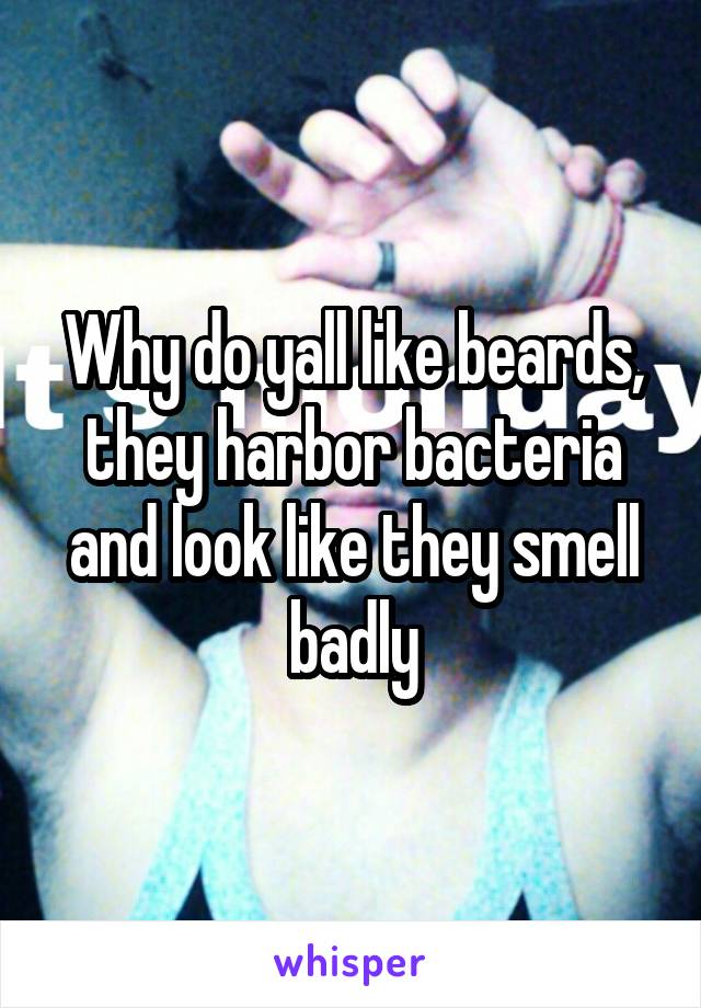 Why do yall like beards, they harbor bacteria and look like they smell badly