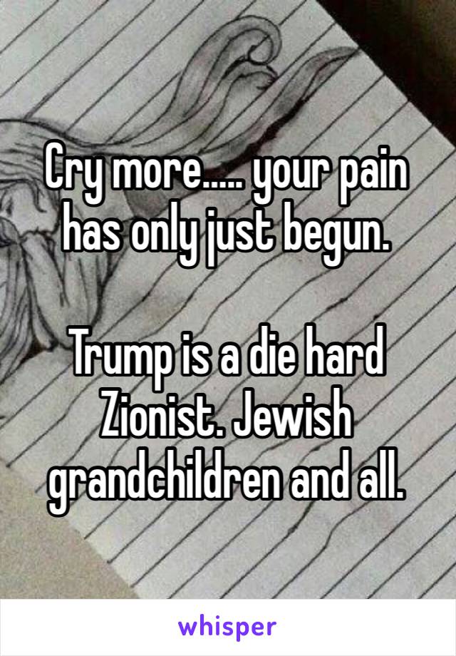 Cry more….. your pain has only just begun.

Trump is a die hard Zionist. Jewish grandchildren and all.