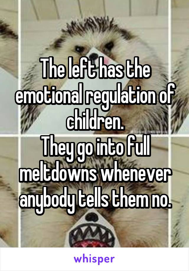 The left has the emotional regulation of children.
They go into full meltdowns whenever anybody tells them no.