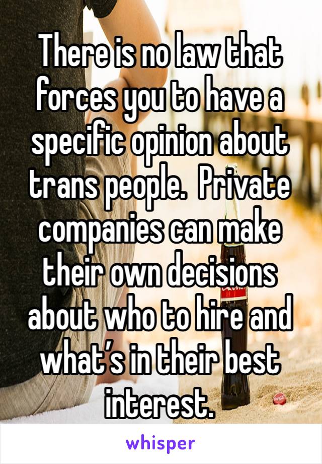 There is no law that forces you to have a specific opinion about trans people.  Private companies can make their own decisions about who to hire and what’s in their best interest.