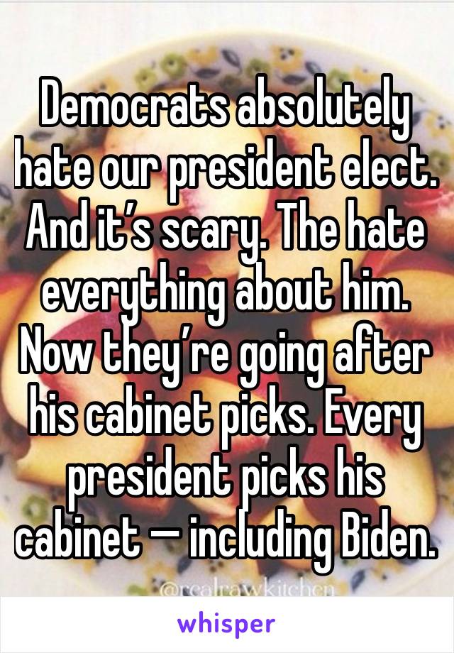 Democrats absolutely hate our president elect. And it’s scary. The hate everything about him. Now they’re going after his cabinet picks. Every president picks his cabinet — including Biden.