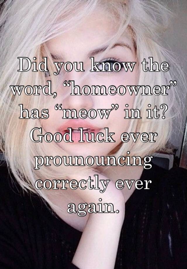 Did you know the word, “homeowner” has “meow” in it? Good luck ever prounouncing correctly ever again. 