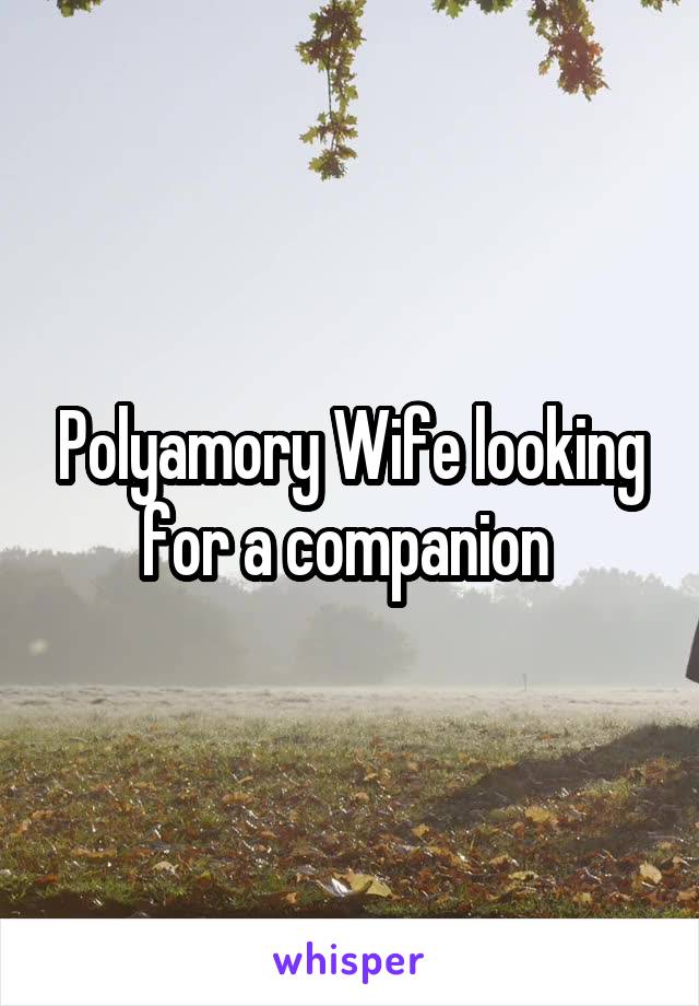 Polyamory Wife looking for a companion 