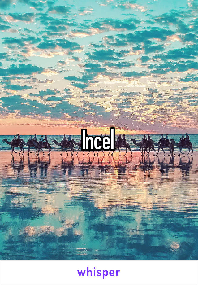 Incel 