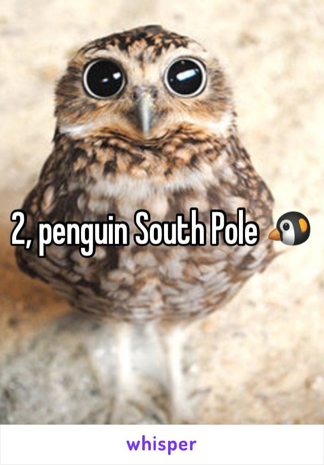 2, penguin South Pole 🐧